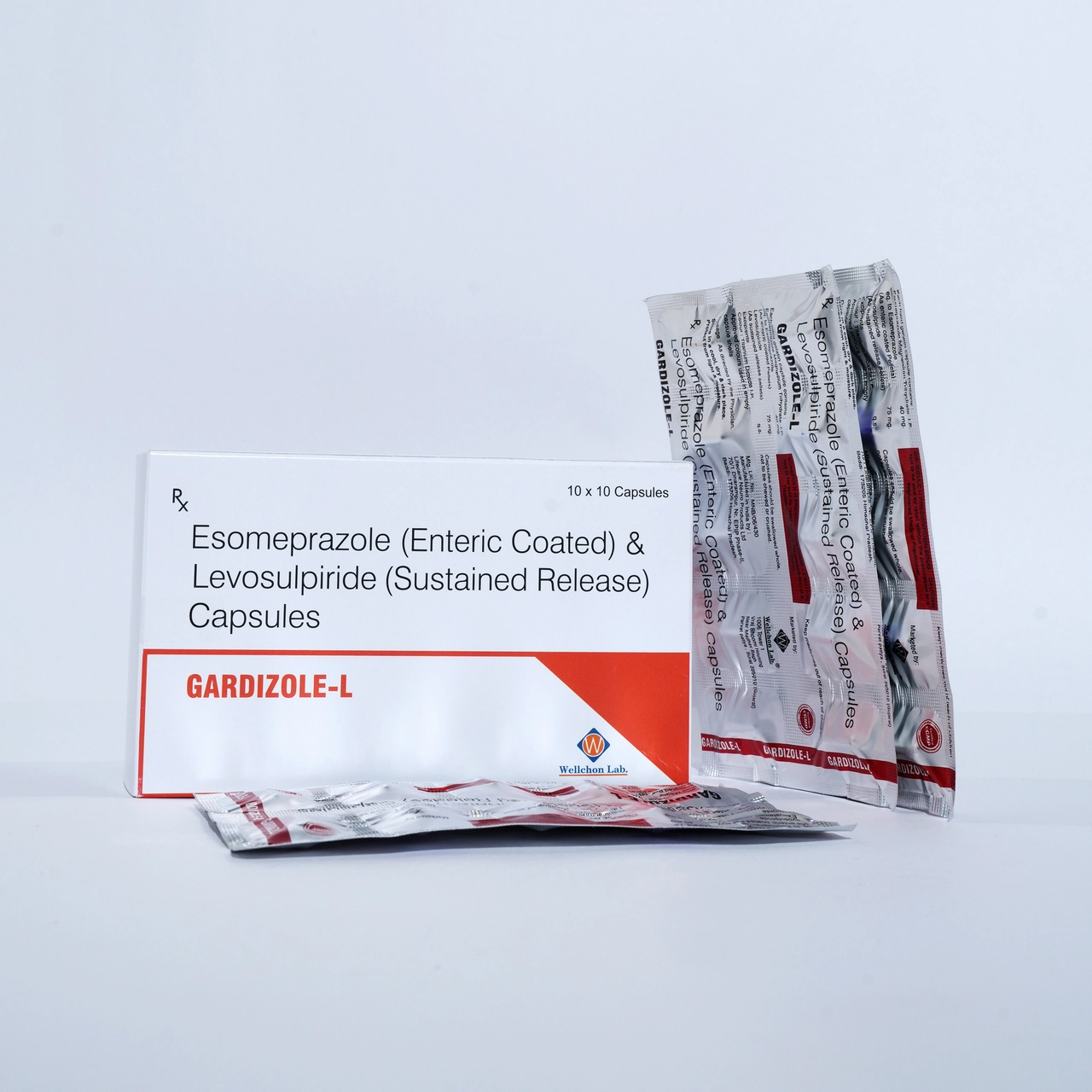 Home Page 18 GARDIZOLE L